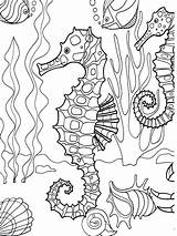 Coloring Pages Life Sea Ocean Getcolorings Printable Creatures sketch template