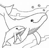 Coloring Baby Pages Mom Whale Animal Animals Mother Sea Sheets Adult Babies Dive Their Colouring Child Whales Color Preschool Print sketch template