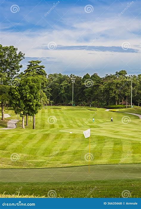 golfcursus stock foto image  vlag hobby concurrentie