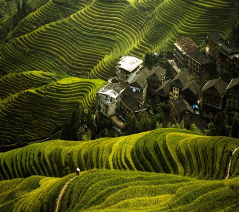 travelplans yuanyang rice terrace  longji rice terrace expats