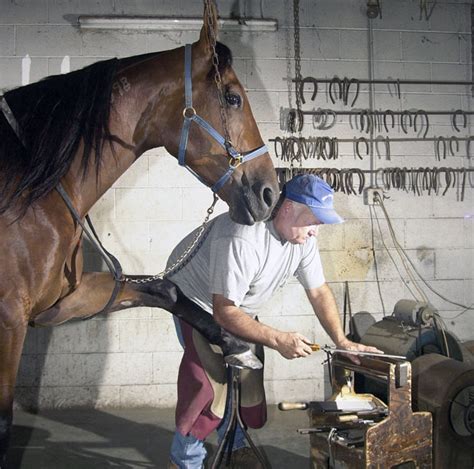 Shoer To The Stars 2006 07 01 American Farriers Journal
