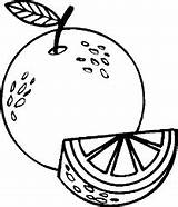Jeruk Mewarnai Buah Gambar Frutas Sketsa Oranges Laranja Fruta Toppng Pohon Gambarcoloring Diwarnai Menggambar Buahan Koleksi Belajar Bojanka Hijau Berwarna sketch template