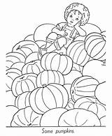 Pumpkin Popular sketch template