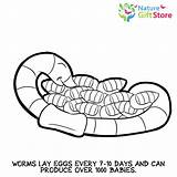 Earthworms Earthworm Gifts sketch template