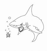 Shark Coloring Pages Scary Printable Little Scares Fish Lemon sketch template