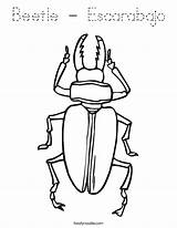 Coloring Beetle Escarabajo Beetles Six Legs Built California Usa Twistynoodle Favorites Login Add Noodle sketch template