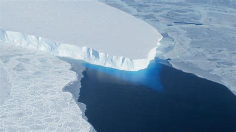 west antarctic ice sheet  collapse causing significant sea level
