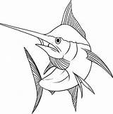 Marlin sketch template