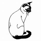 Siamese Stamp Cats sketch template