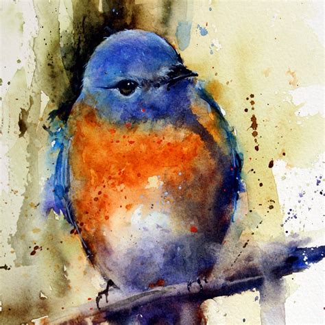eastern bluebird watercolor bird art print  dean crouser