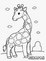 Gambar Mewarnai Anak Untuk Binatang Coloring Jerapah Tk Lucu Pages Giraffe Diwarnai Sd Kids Paud Choose Board Zoo Belajar Animals sketch template