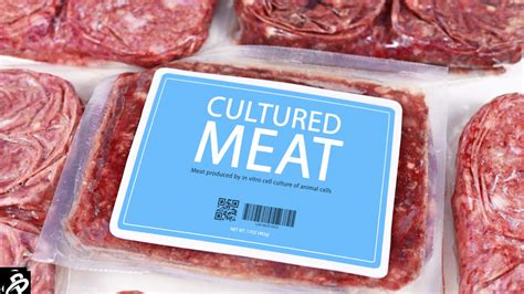 cultured meat industry   nascent industry   scaling fast