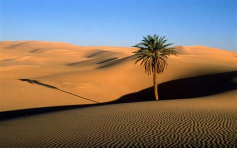 sahara desert deserts   world desert life places  visit