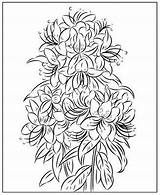 Coloring Nicole Pages Flower sketch template