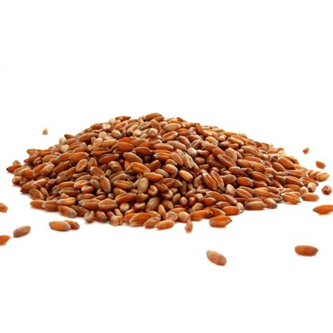 organic comet hard spelt kernels small valley milling