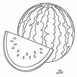 Cantaloupe Template Coloring sketch template