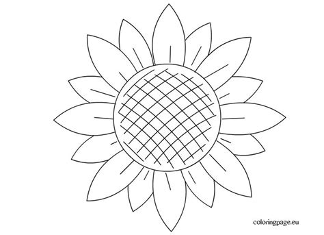 sunflower template preschool coloring page sunflower template
