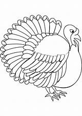 Turkey Coloring Printable Pages Template Print Realistic Disguise Kids Color Templates Getcolorings Animal Please sketch template