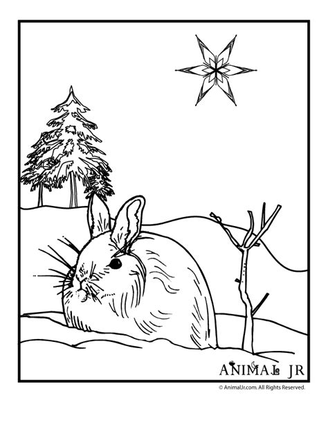 winter animals coloring pages printable
