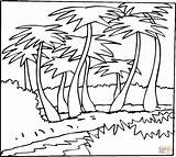 Coconut Coloring Outline Pages Palms Tree Color Drawing Silhouettes Printable sketch template