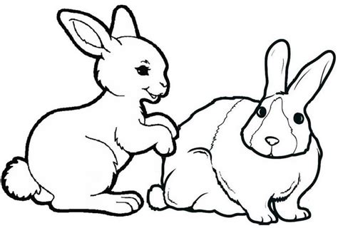 rabbits playing coloring page