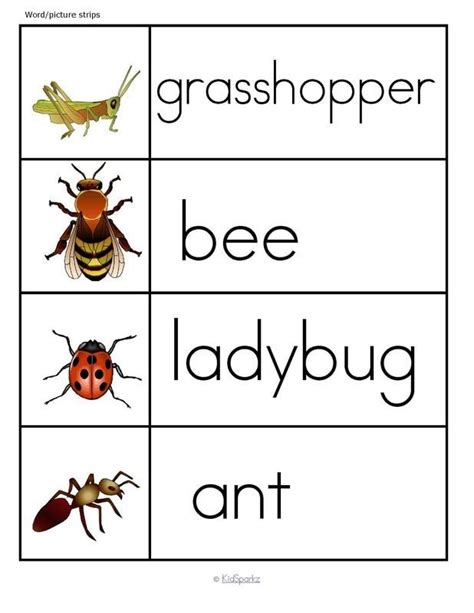 insects theme activities  printables  preschool  kindergarten