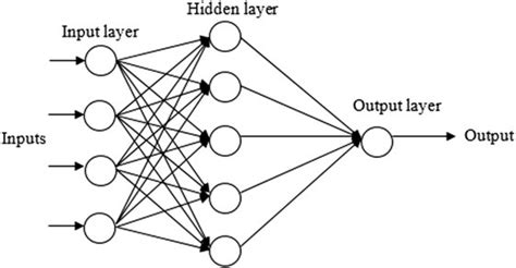 ann architecture   hidden layer  scientific diagram