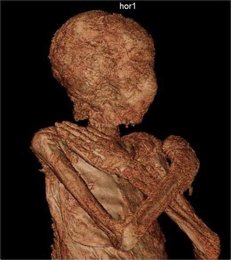 archaeology news world s first pregnant ancient egyptian mummy exposed