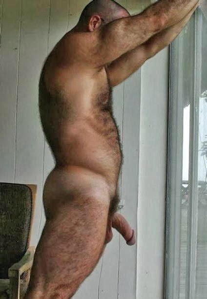 Muscle Bears Hairy Tit S And Belly 02 122 Pics 2