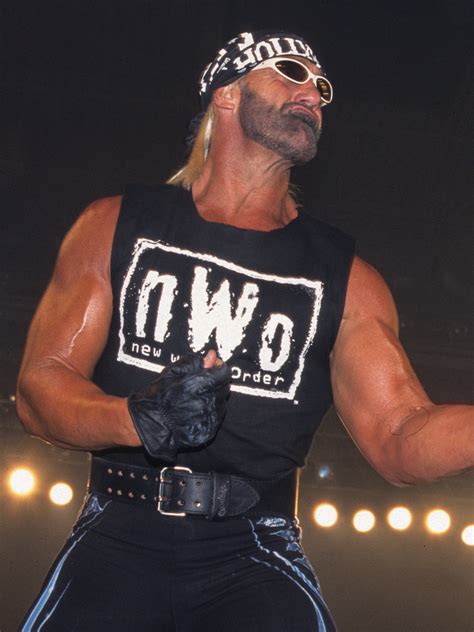 hollywood hulk hogan pictures rotten tomatoes