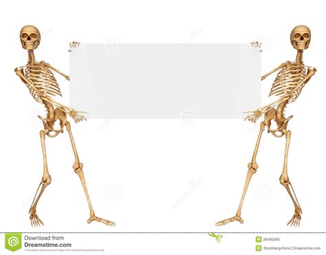 skeleton holding a sign with both the hands royalty free