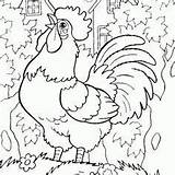 Coloring Rooster Animals Chicken Pages Farm Adult Drawing Sheets Chickens Barn sketch template