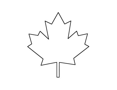 canadian maple leaf symbolizing canadas natural beauty  cultural