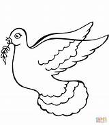 Olive Branch Dove Coloring Pages Holding Printable Animaux الزيتون Doves Clipart sketch template