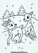 Rudolph Reindeer Rentier Ausmalbilder Disegni Malvorlagen Faon Faons Renne Clarice Nez Nosed Nariz Roja Dasjenige Weihnachten Coloriez Cucciolo Noël Nase sketch template