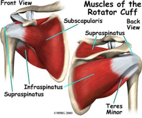 rotator cuff tears physical therapist tips  phone consult