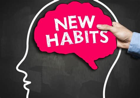 brain  habits form facty
