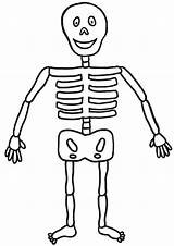Skeleton Coloring Kids Pages Human Bones Printable Friendly Clipart Drawing Outline Minecraft Clip Print Bone Cliparts Color Easy Simple Tasmanian sketch template