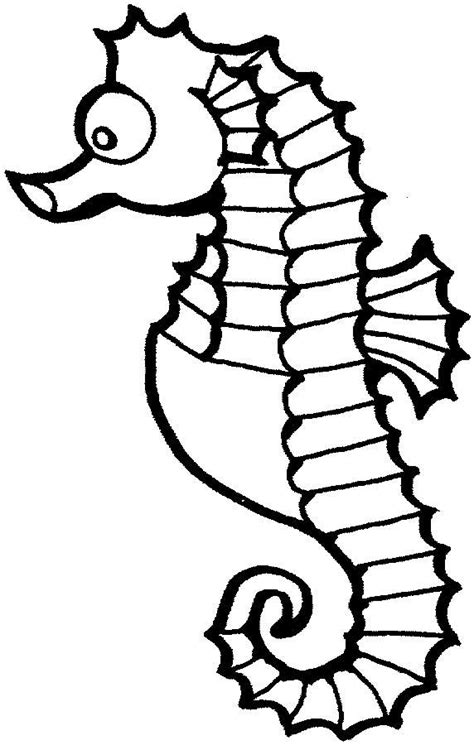 seahorse coloring page  kids  printable picture