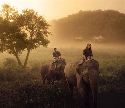 Golden Triangle Elephant Camp Thailand Dream Ahhhhh Elephant
