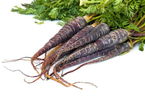 Benefits Of Black Carrots Is It Really Good For The