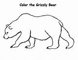Grizzly Bear Coloring Drawing Draw Pages Realistic Clipartmag Step 464px 51kb sketch template
