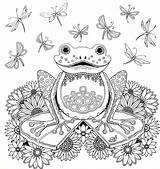Coloring Pages Frog Forest Adult Sapo Printable Colouring sketch template