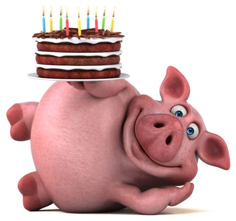 happy birthday pig stock  pictures royalty  images istock