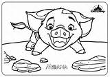 Moana Coloring Pages Pua Printable Disney Whatsapp Tweet Email sketch template