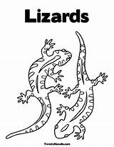 Coloring Lizard Pages Reptiles Lizards Sheet Template Morgan Gecko Kids Snake Garrett Reptile Drawing Animal Twistynoodle Templates Printable Mosaic Colouring sketch template