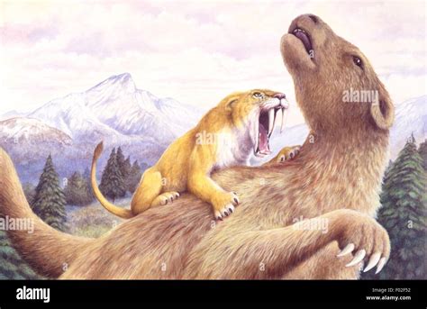palaeozoology pleistocene period extinct mammals smilodon attacks