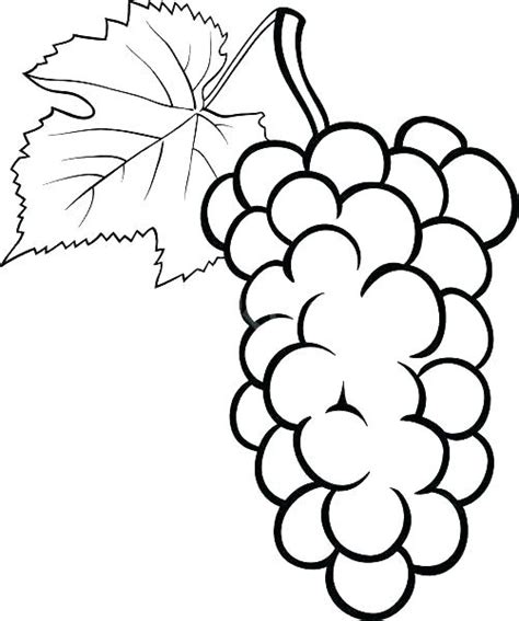grape vine coloring page images