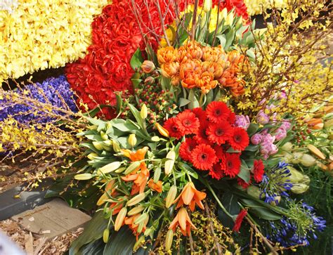 pin van fotoverhalen op bloemencorso flowertour holland holland