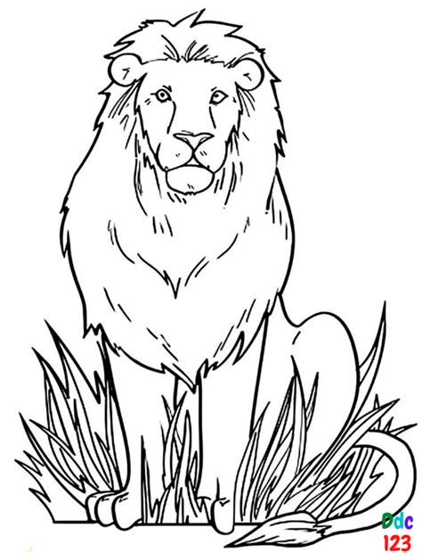 animal coloring pages  color  print ddc ips inter press